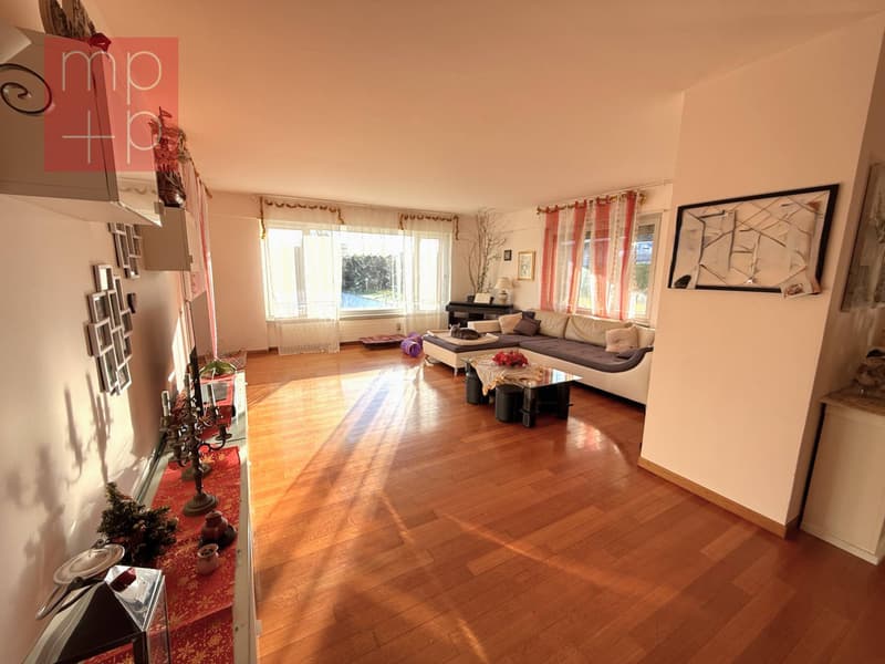 Villa - Coldrerio (5)