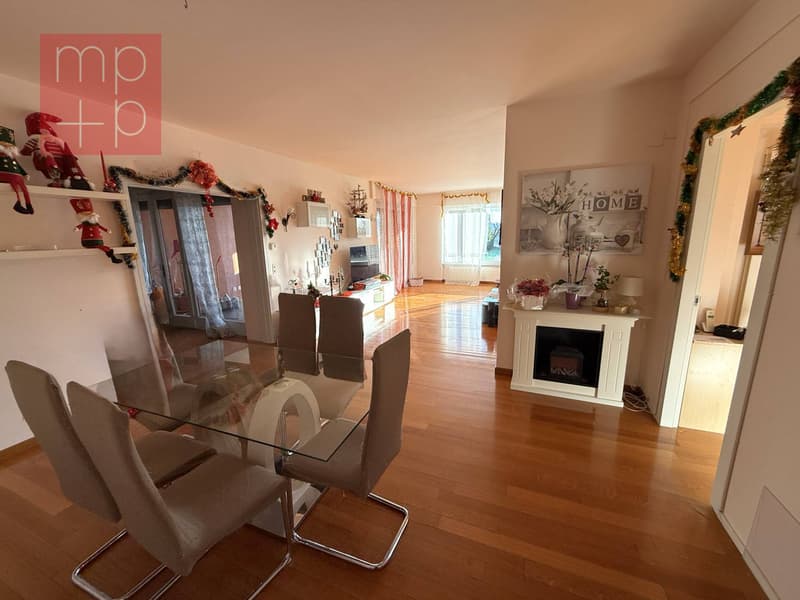 Villa - Coldrerio (6)