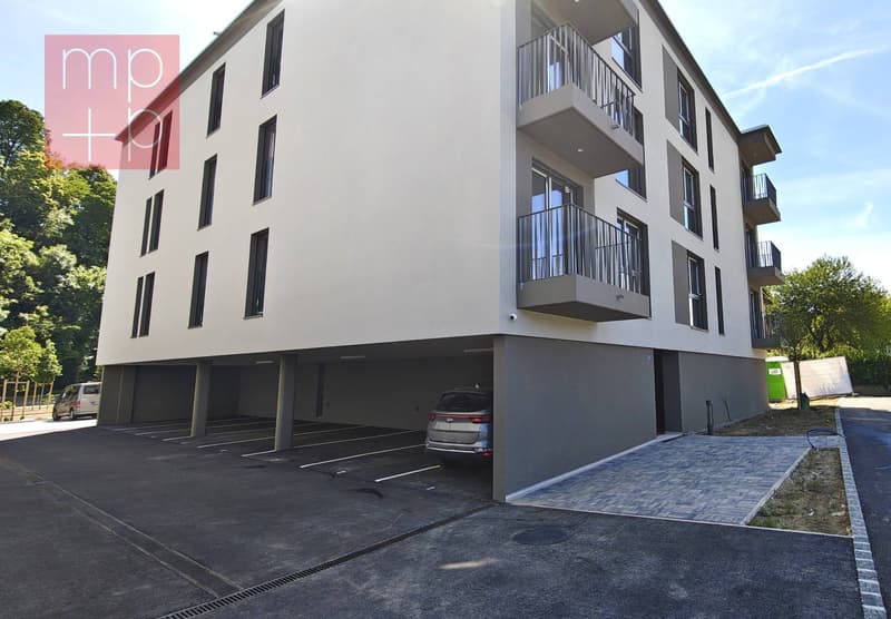 Appartamento - Stabio (2)