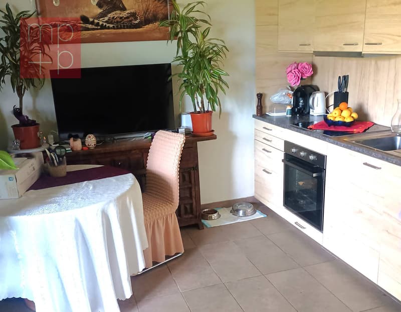 Villa - Cugnasco-Gerra (3)