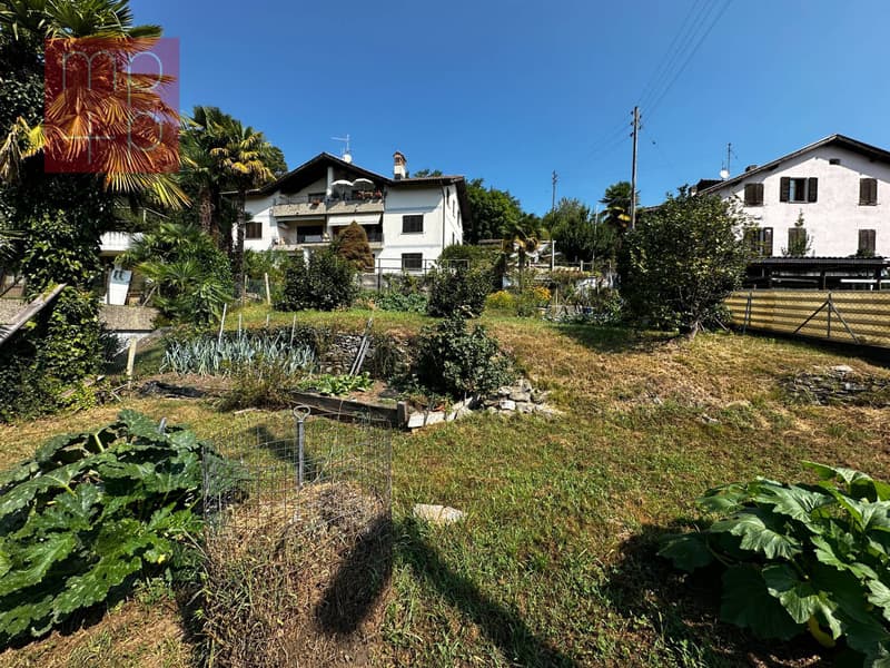 Terreno per costruire - Monteggio (3)