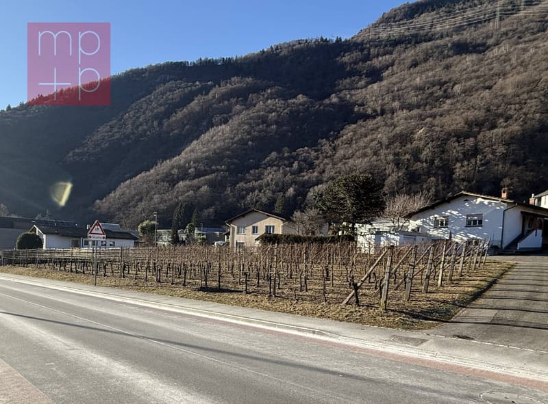 Terreno per costruire - Gnosca (7)