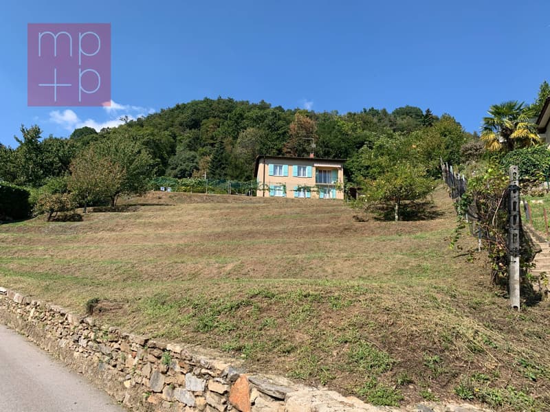 Terreno per costruire - Neggio (8)