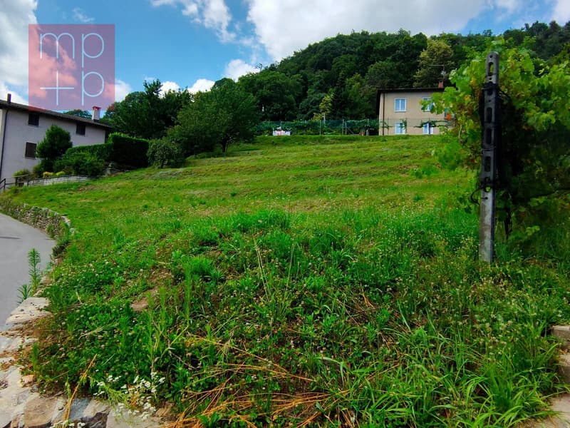 Terreno per costruire - Neggio (7)