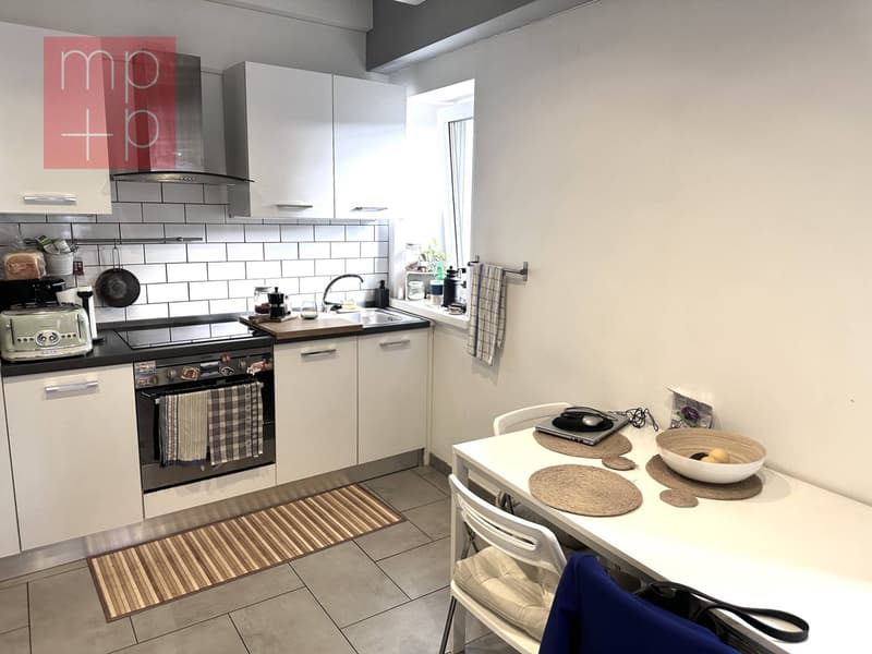 Appartamento - Viganello (3)