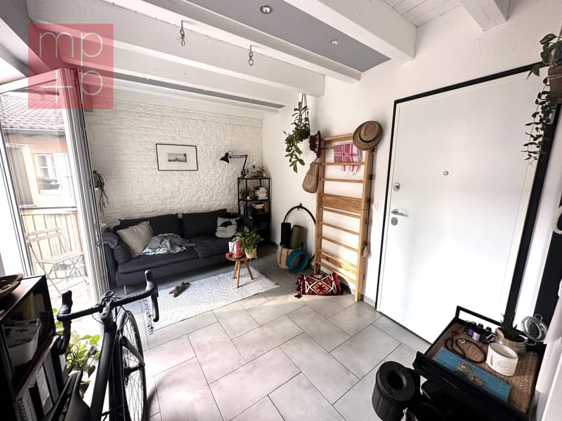 Appartamento - Viganello (2)