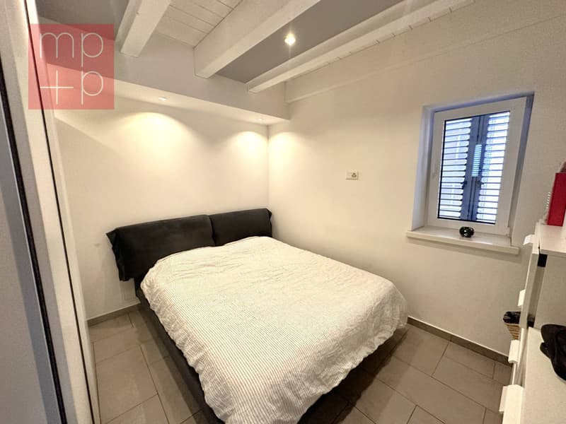 Appartamento - Viganello (6)