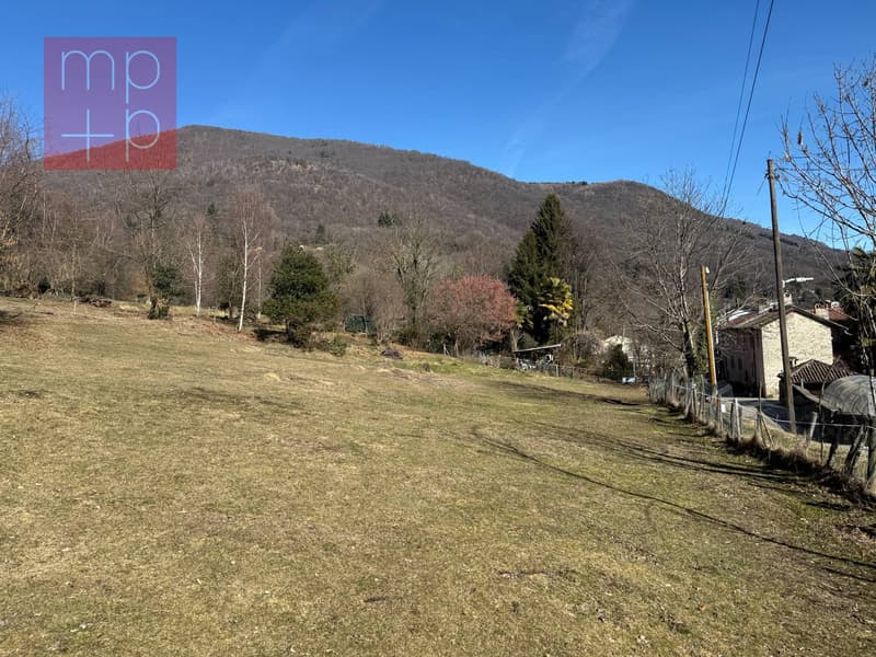 Terreno per costruire - Sessa (1)