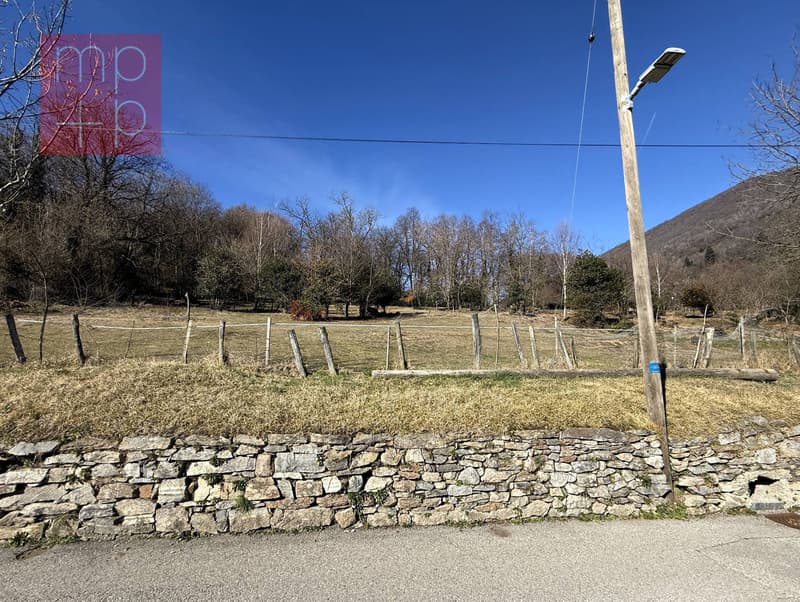 Terreno per costruire - Sessa (8)