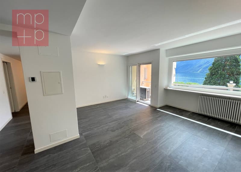 Appartamento - Lugano (1)