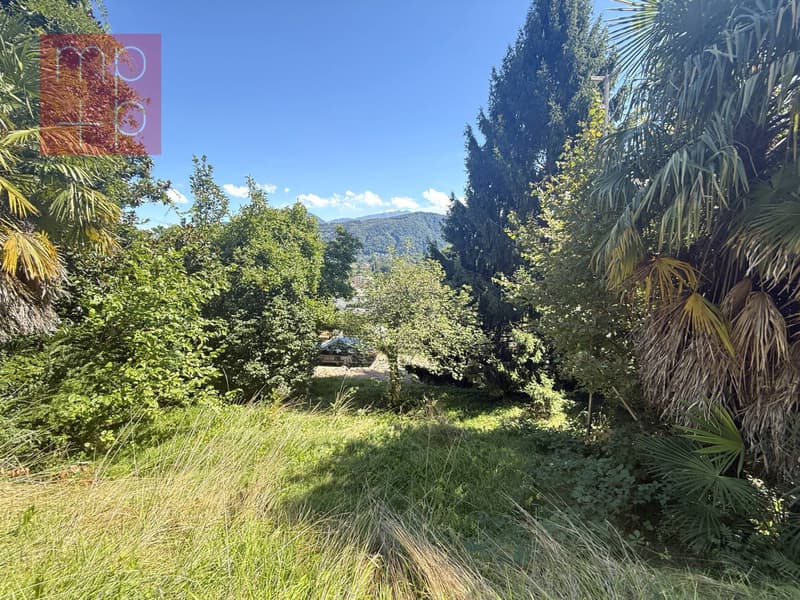 Terreno per costruire - Pura (1)