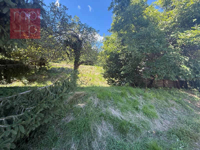 Terreno per costruire - Pura (3)