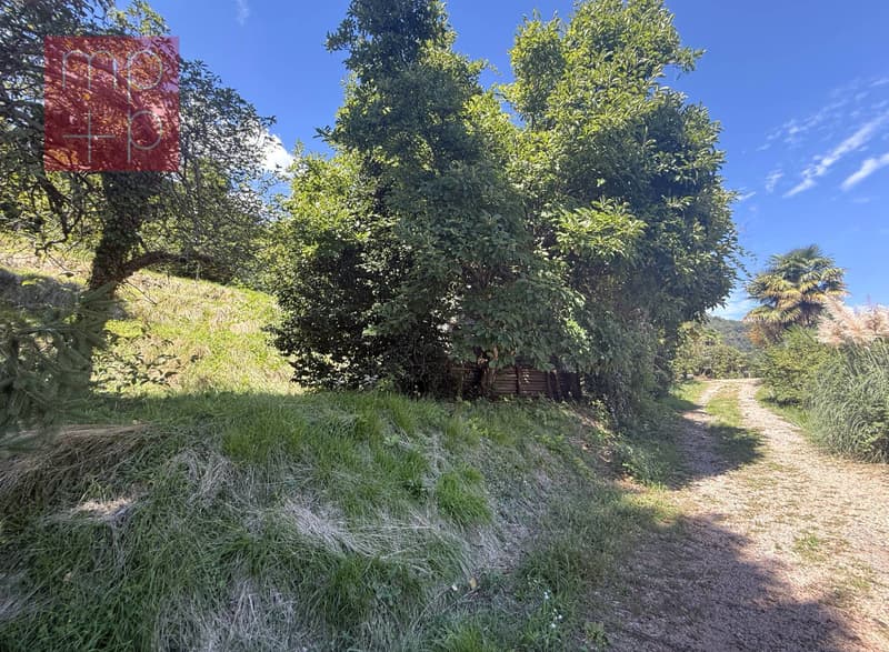 Terreno per costruire - Pura (2)