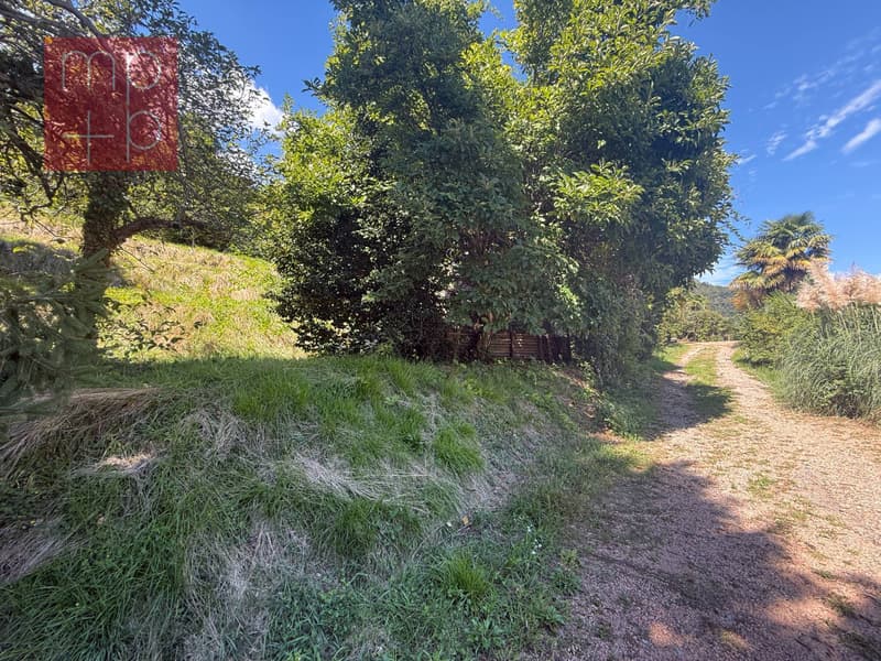 Terreno per costruire - Pura (5)