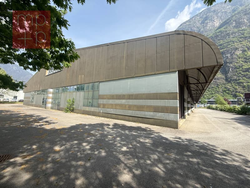 Fabbrica - Biasca (4)