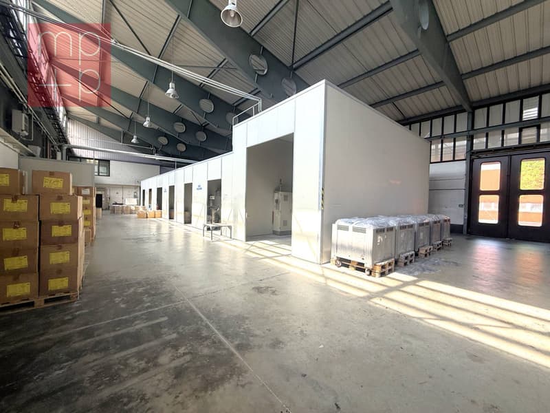 Fabbrica - Biasca (8)