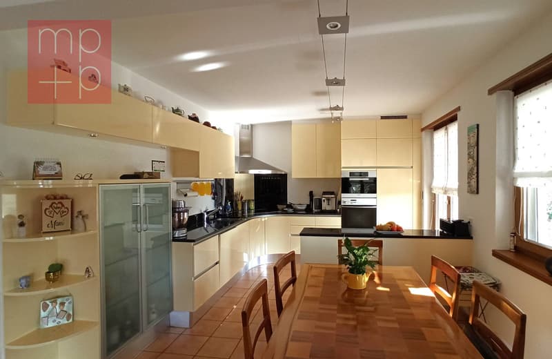 Casa unifamiliare - Pregassona (3)