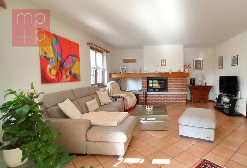 Casa unifamiliare - Pregassona (2)