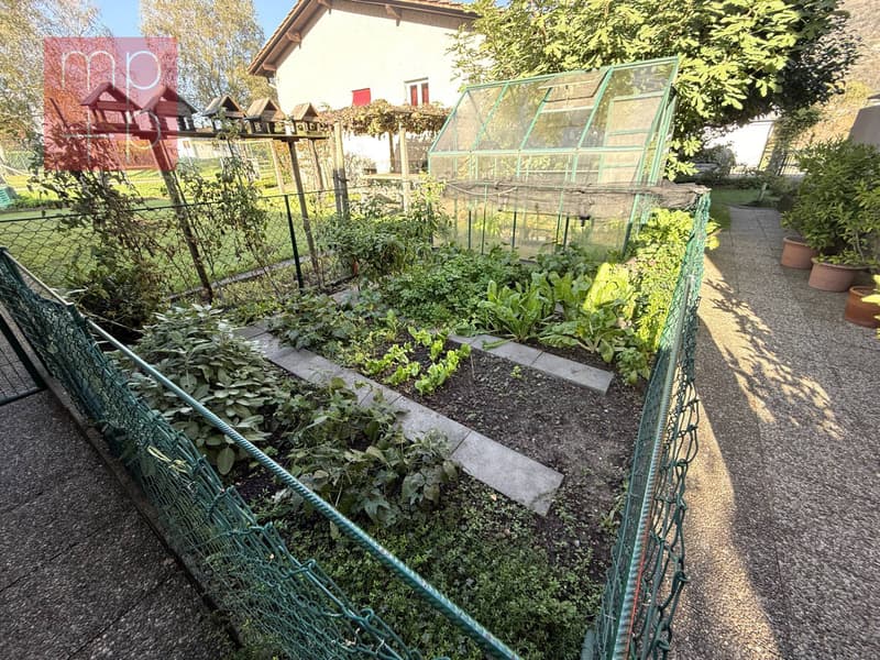 Casa unifamiliare - Giubiasco (5)