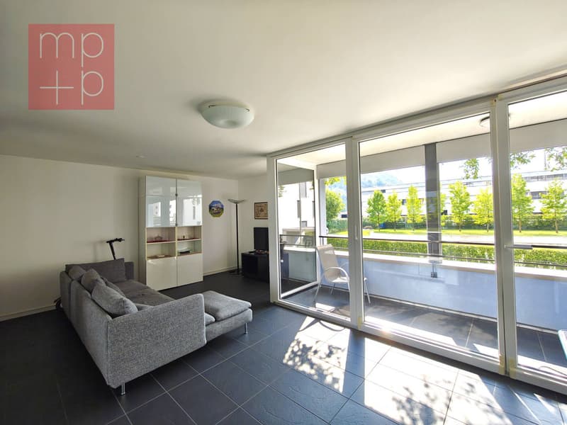 Appartamento - Chiasso (5)