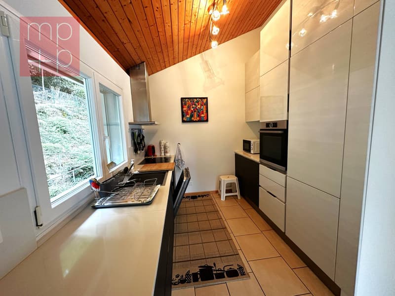 Villa - Brusino Arsizio (3)
