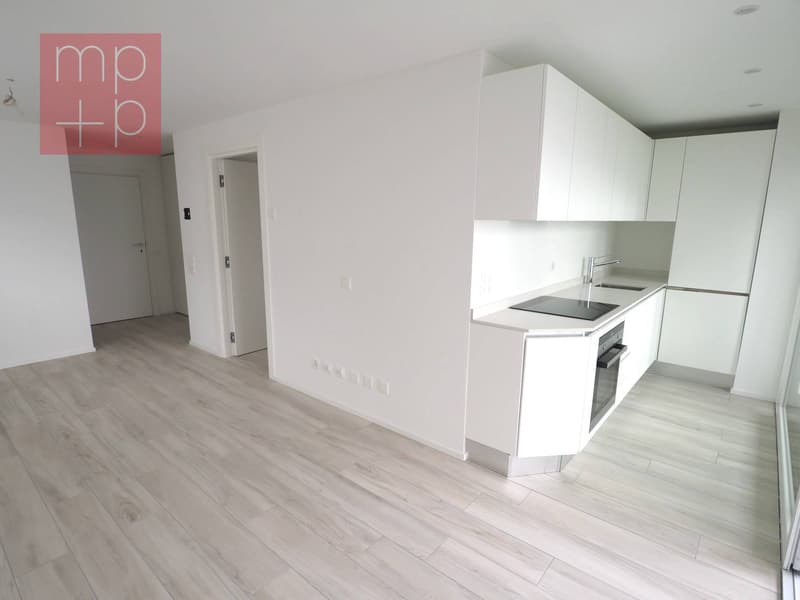 Appartamento - Canobbio (2)