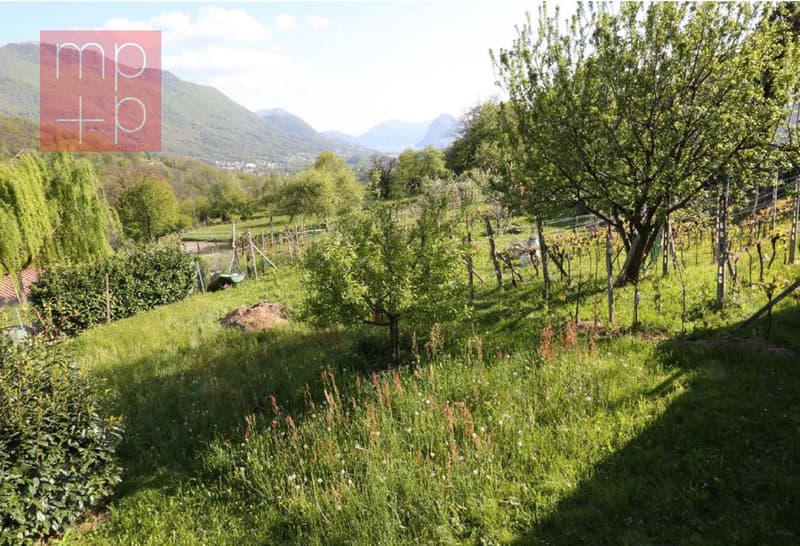 Terreno per costruire - Lopagno (3)
