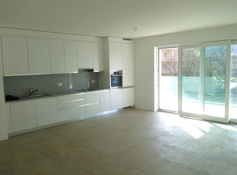 Appartamento - Bellinzona (2)