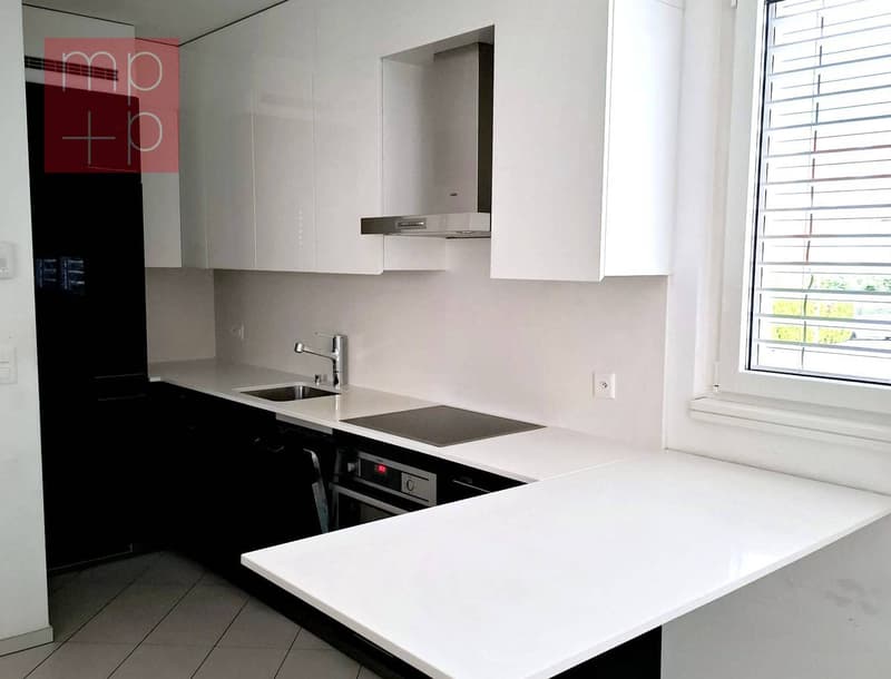 Appartamento - Bellinzona (2)