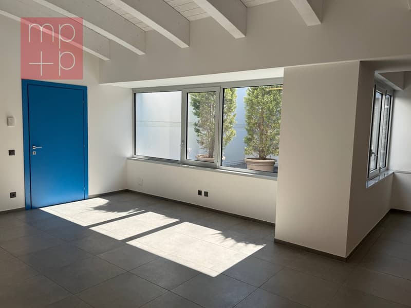 Ufficio - Bedano (3)