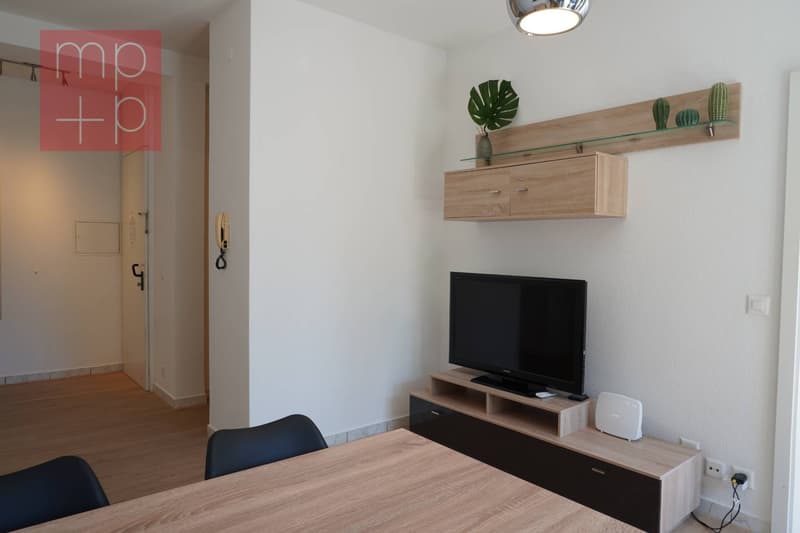 Appartamento - Lugano (5)