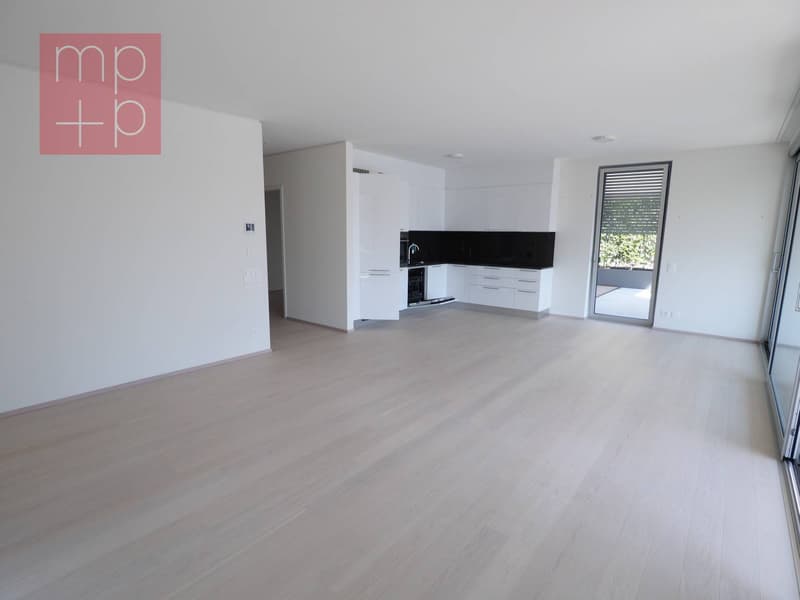 Appartamento - Lugano (5)