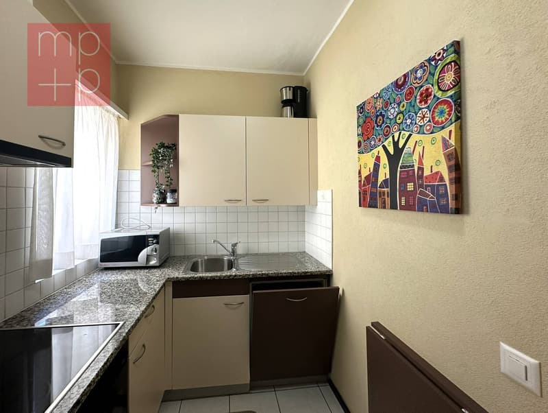 Appartamento - Lugano (7)