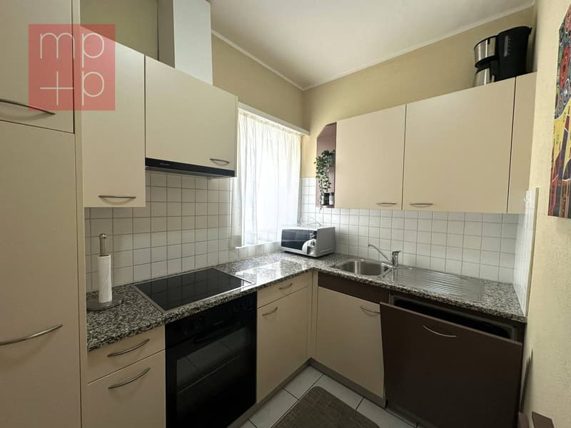 Appartamento - Lugano (3)