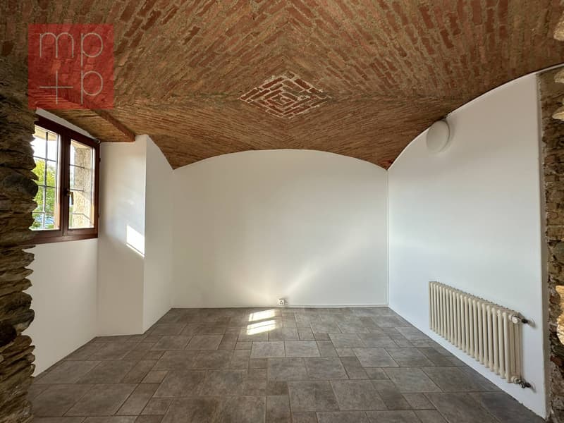 Casa unifamiliare - Montagnola (6)