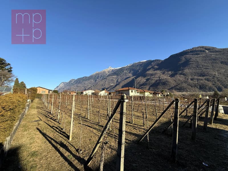 Terreno per costruire - Gnosca (1)