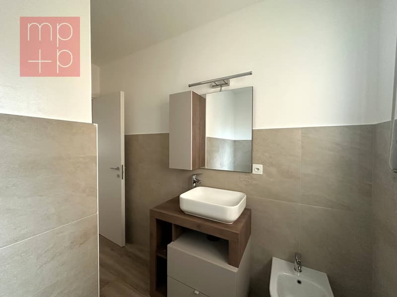 Appartamento - Viganello (6)
