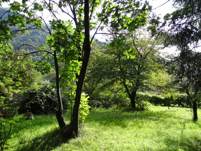 Casa plurifamiliare - Bodio (7)