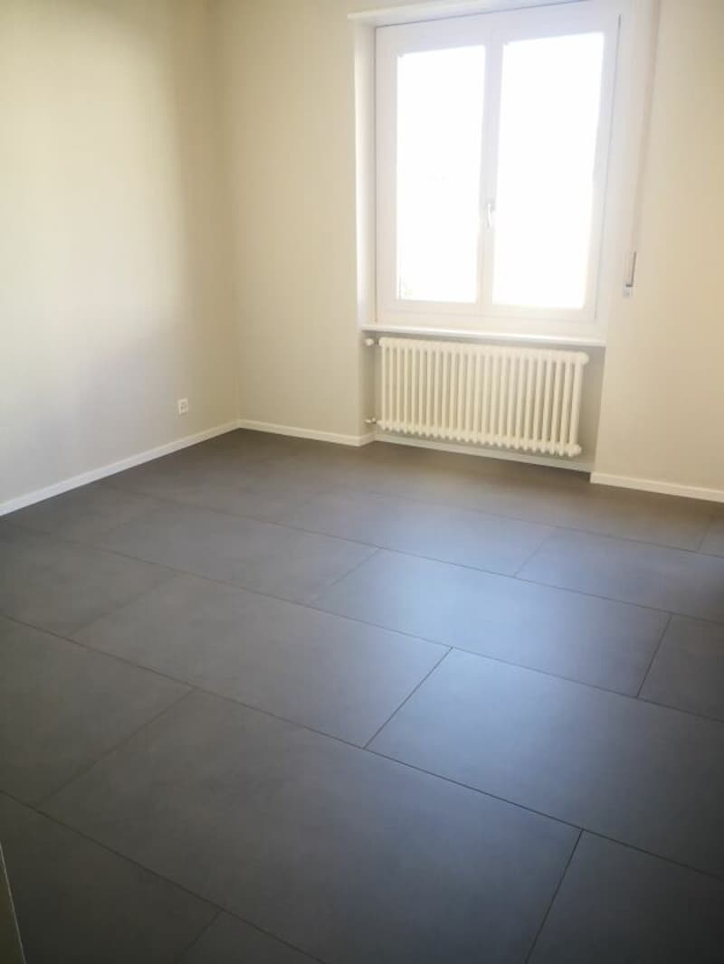 Affittasi appartamento 2.5 locali parzialmente ristrutturato a Viganello (4)