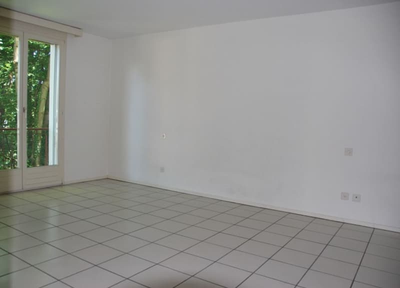 Affittasi a Pregassona spazioso 4.5 locali luminoso (6)