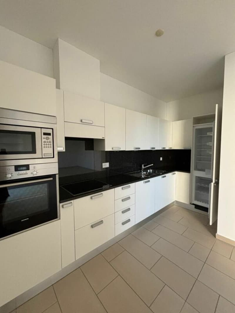 Affittasi 2.5 locali a Viganello al PT (2)