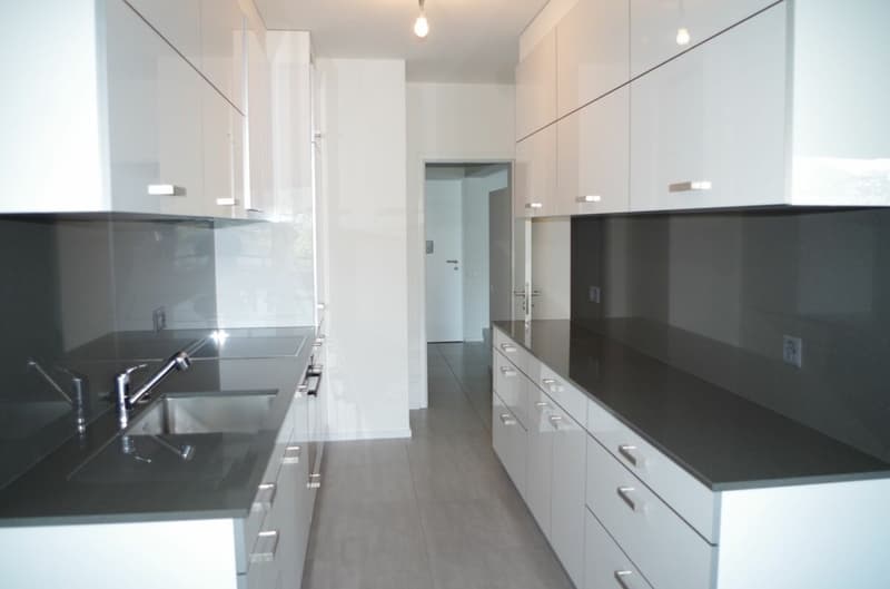 Splendido appartamento duplex di 4 1/2 locali con vista sul lago di Lugano (2)