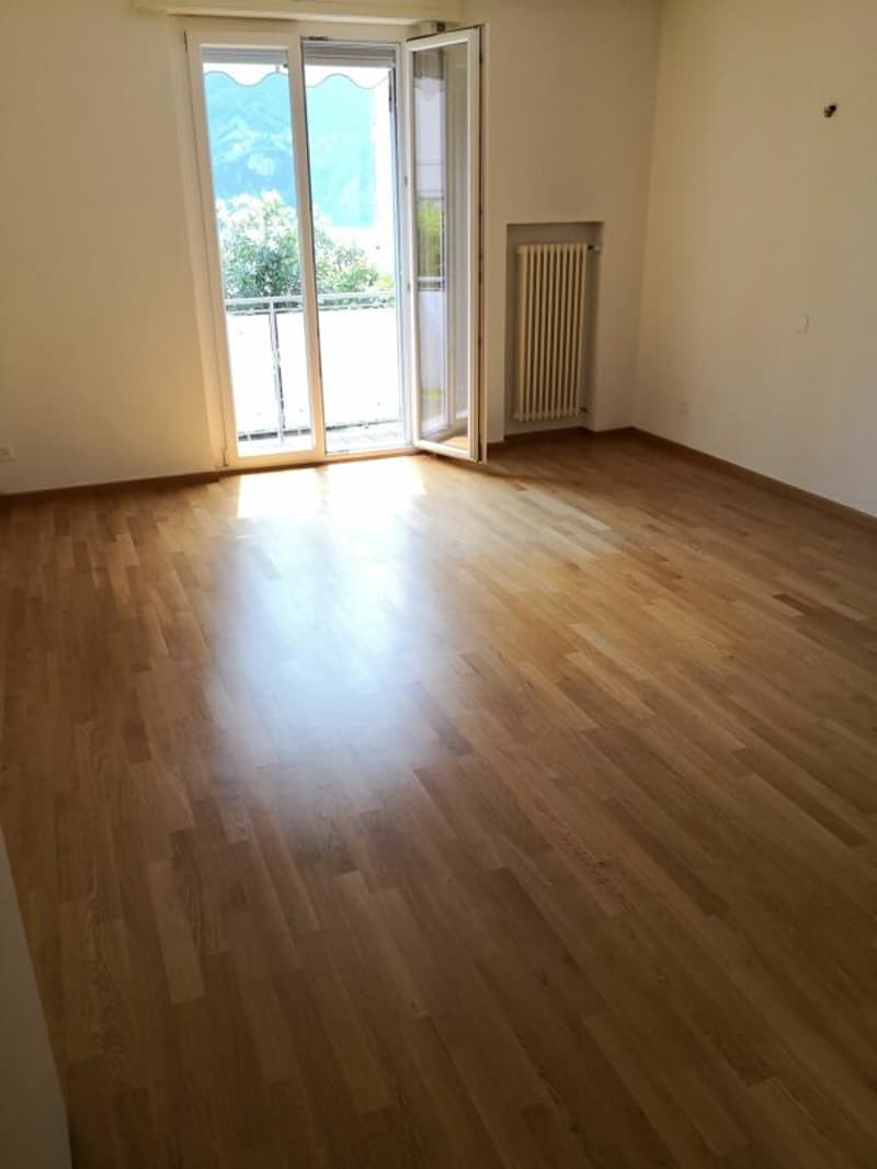Affittasi appartamento di 3 1/2 locali con vista Lago ed a due passi dal LAC (4)