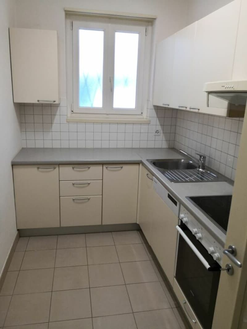 Affittasi appartamento di 3 1/2 locali con vista Lago ed a due passi dal LAC (5)