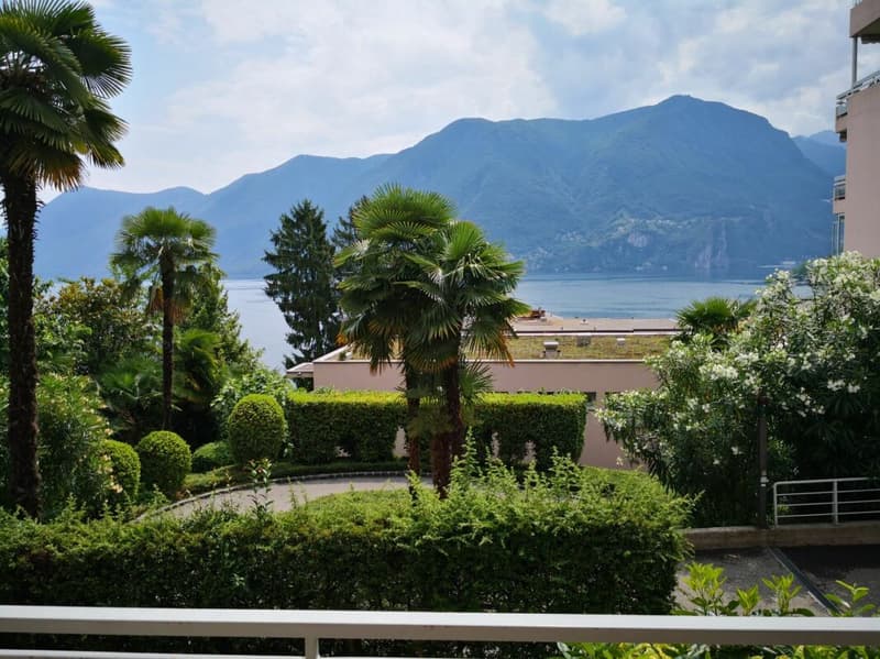 Affittasi appartamento di 3 1/2 locali con vista Lago ed a due passi dal LAC (1)