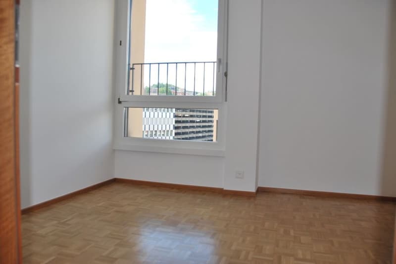 Cercasi subentrante appartamento ristrutturato recentemente in centro Lugano (10)
