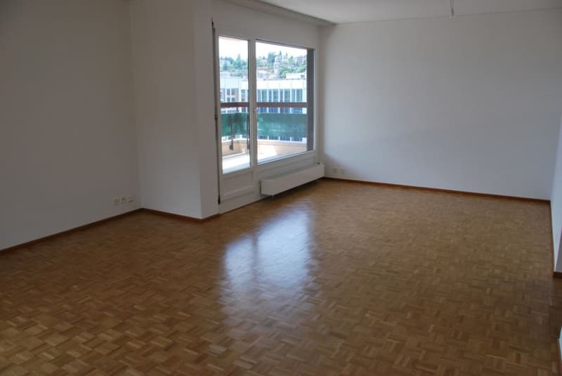 Cercasi subentrante appartamento ristrutturato recentemente in centro Lugano (4)