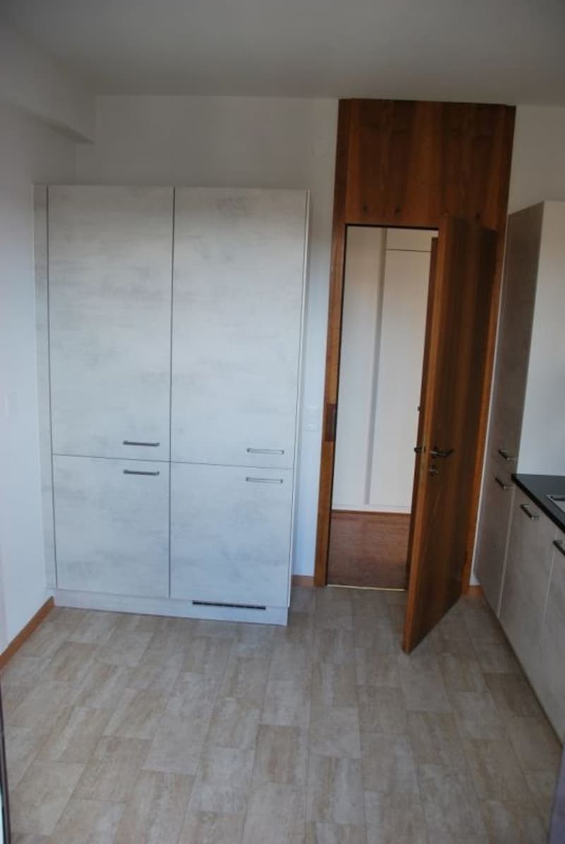 Cercasi subentrante appartamento ristrutturato recentemente in centro Lugano (3)