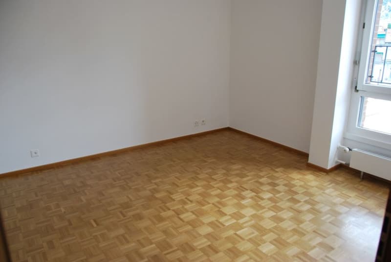 Cercasi subentrante appartamento ristrutturato recentemente in centro Lugano (8)