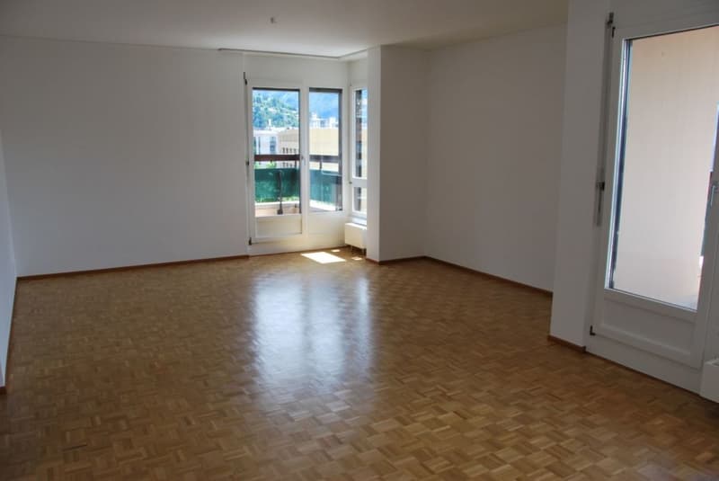Cercasi subentrante appartamento ristrutturato recentemente in centro Lugano (5)